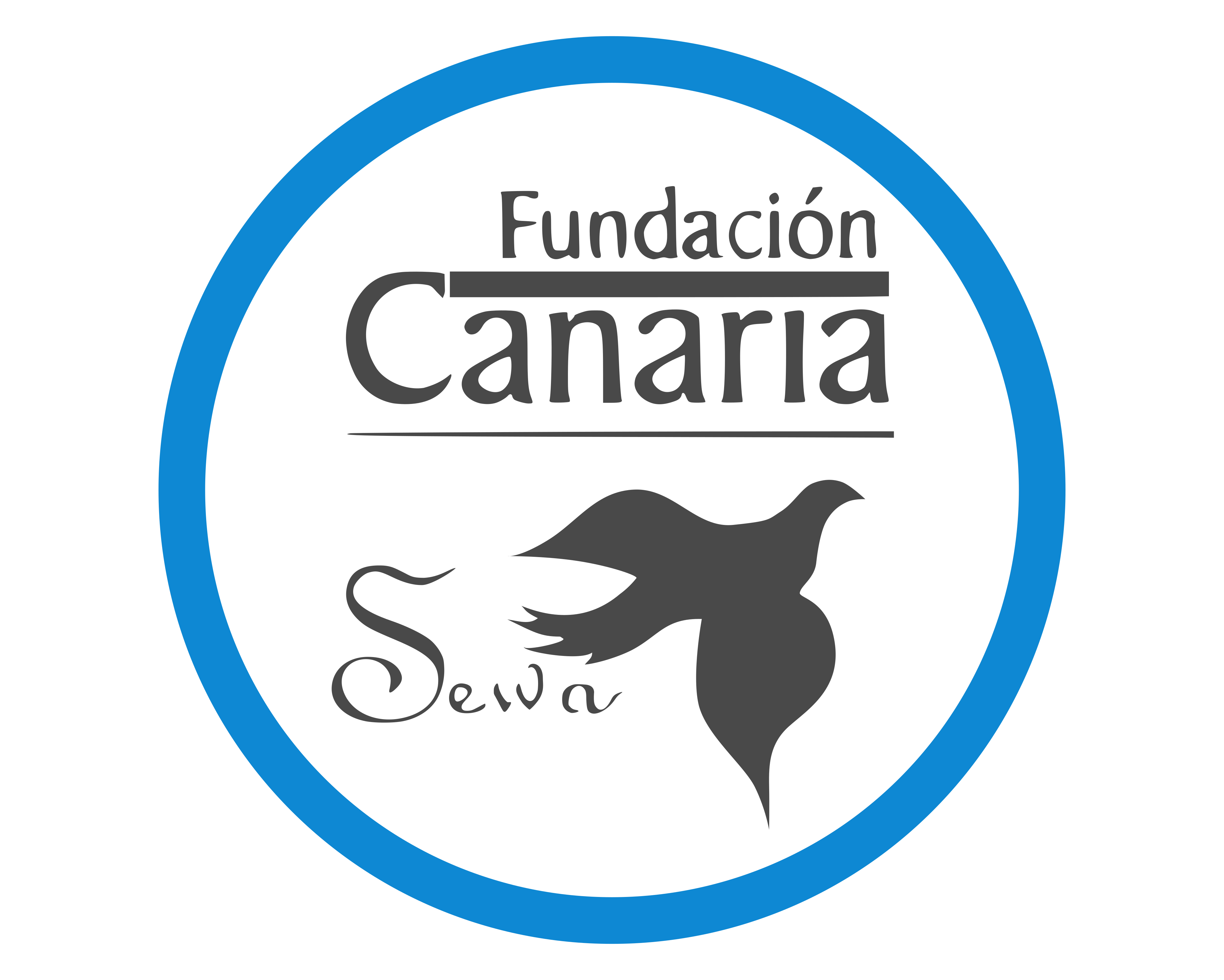 Logo Fundación Sewa