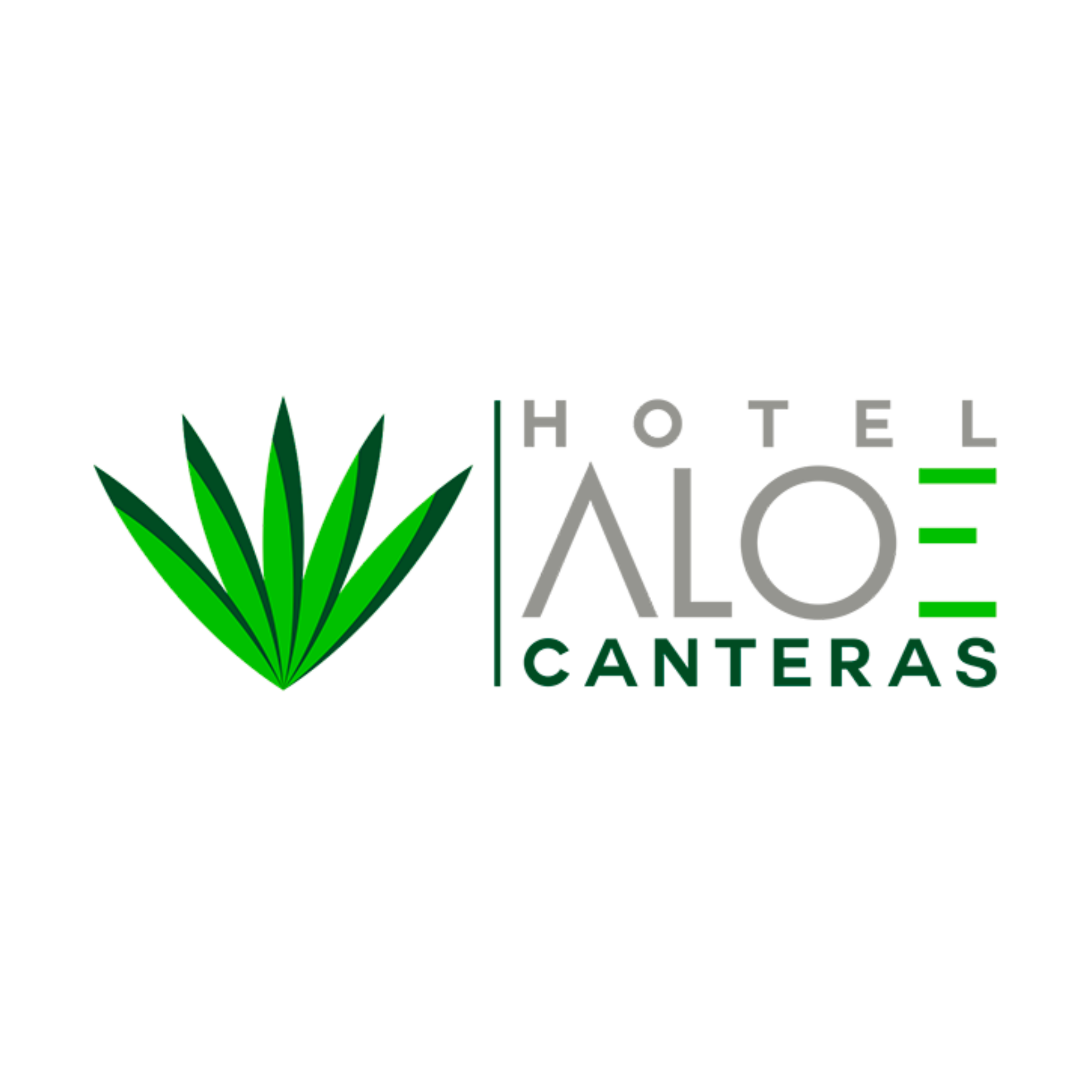Logo Hotel Aloe Canteras
