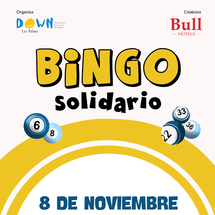 Bingo Solidario 2024